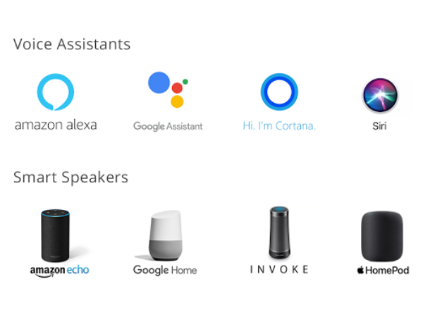 Google voice search optimization