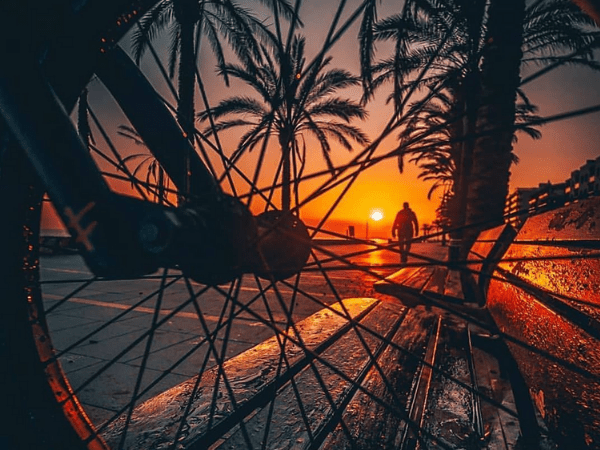 Video Content Marketing