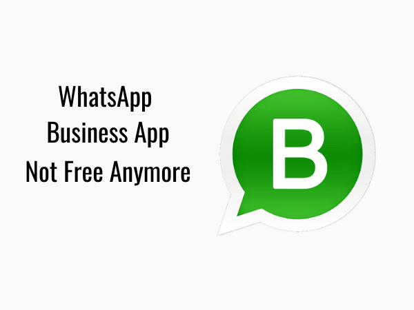 WhatsApp Business App